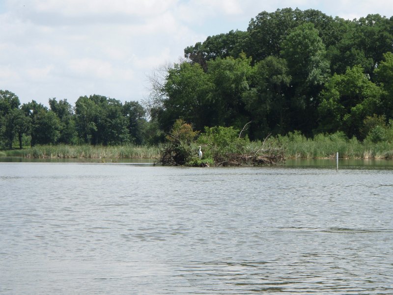 BusseKayak080711-8070018.jpg - Kayak Busse Woods Forest Preserve