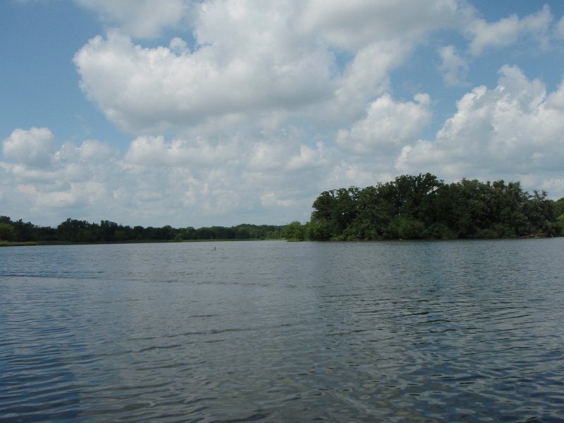 BusseKayak080711-8070021.jpg - Kayak Busse Woods Forest Preserve