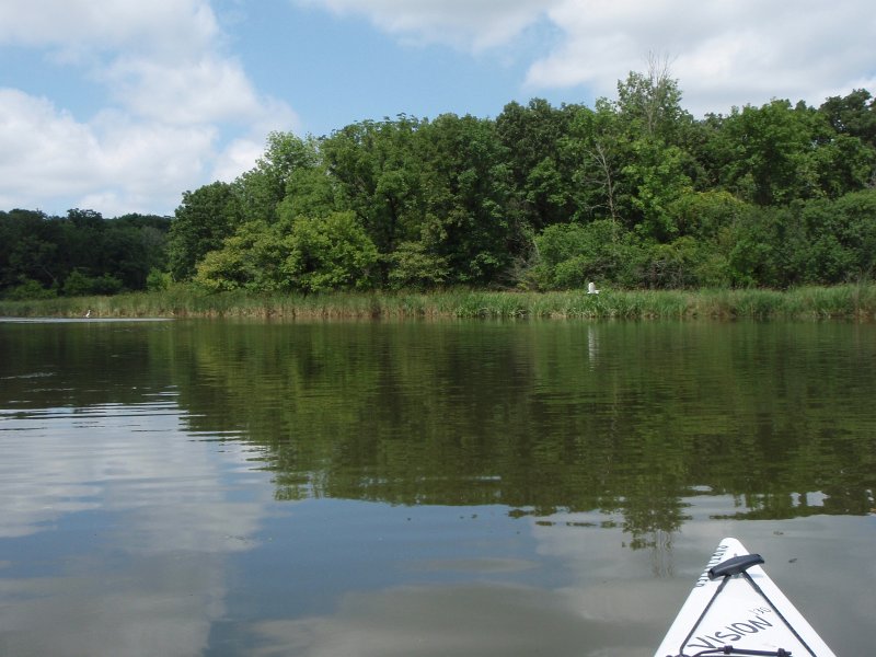 BusseKayak080711-8070006.jpg - Kayak Busse Woods Forest Preserve