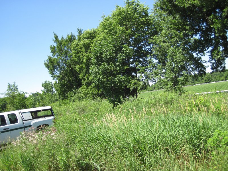 Danada070411-2649.jpg - Bike Danada Forest Preserve and Lake Herrick