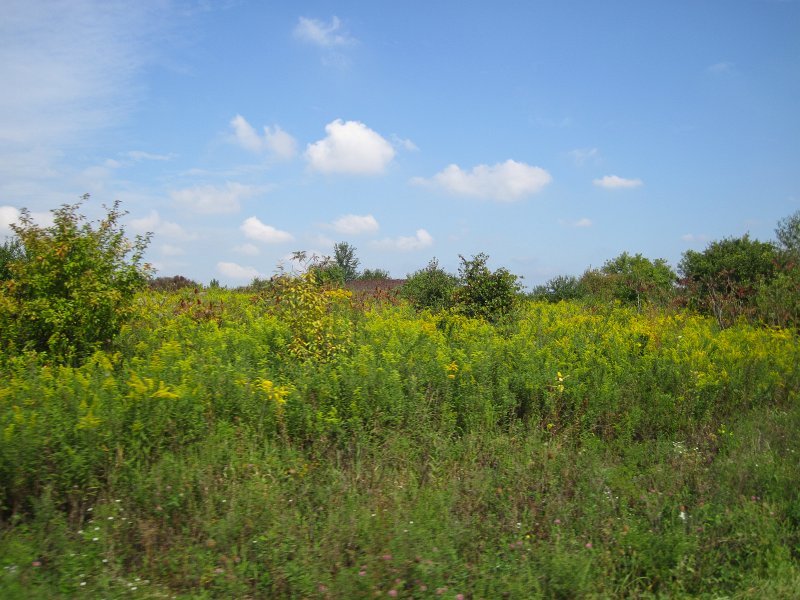 DanadaBike090911-3377.jpg - Danada Forest Preserve Bike Trail