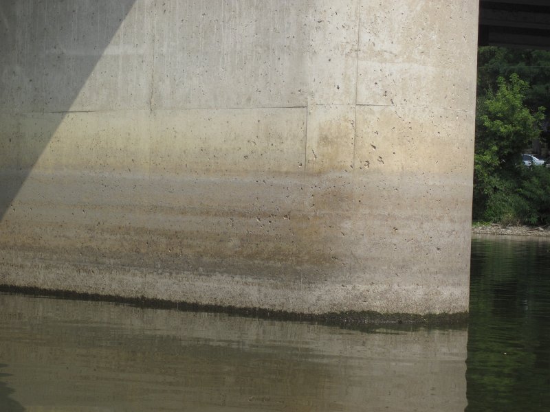 FoxRiverKayakGeneva090311-3314.jpg - The Fox River is some 3-4 ft below this season's high water mark.