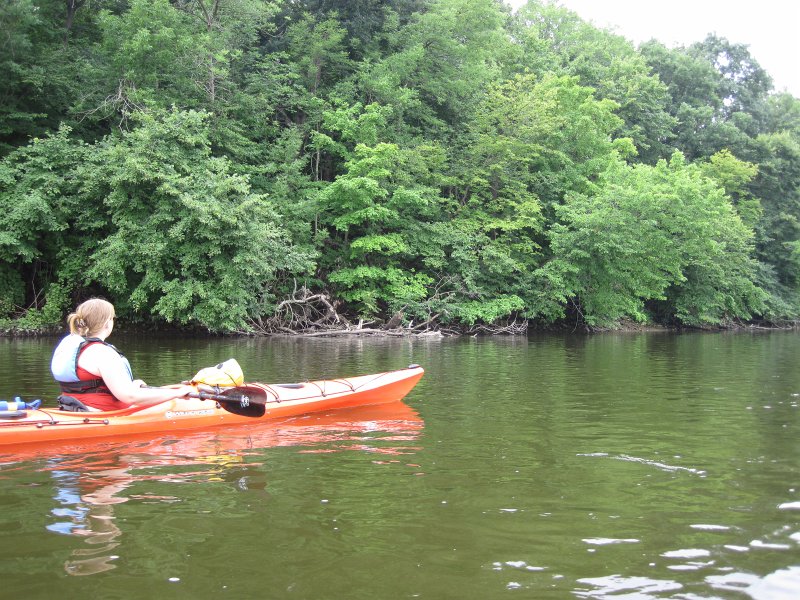 FoxRiverMillingtonKayak080611-2950.jpg - Kayak Fox River Yorkville to Millington
