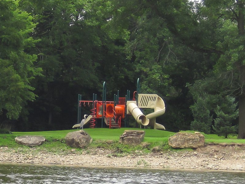 FoxRiverMillingtonKayak080611-2980.jpg - Great Blue Heron sitting at the bank of a playground at Milhurst Fen Forest Preserve