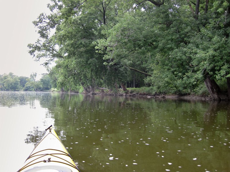 FoxRiverMillingtonKayak080611-3005.jpg - Kayak Fox River Yorkville to Millington