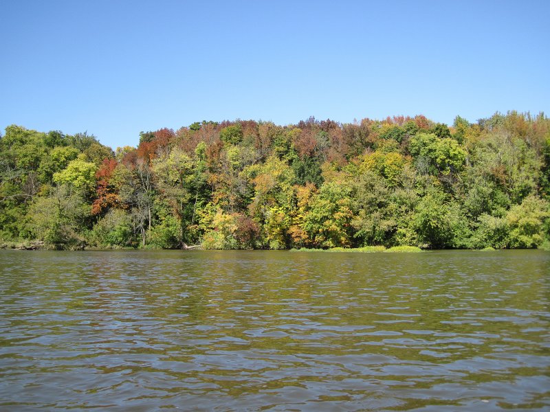 FoxRiverYorkvilleMillington100211-3487.jpg - Kayak Fox River Yorkville to Millington