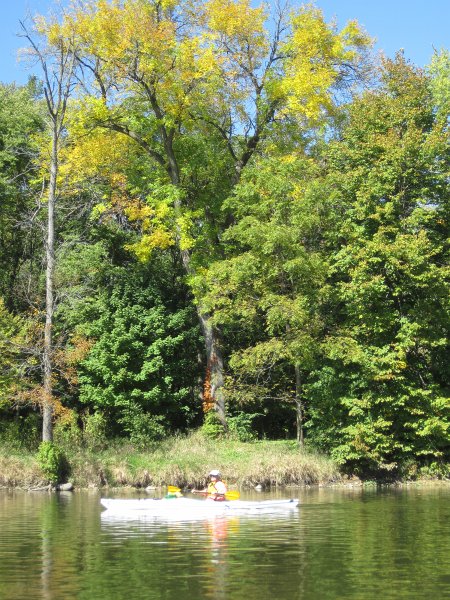 FoxRiverYorkvilleMillington100211-3498.jpg - Cathie