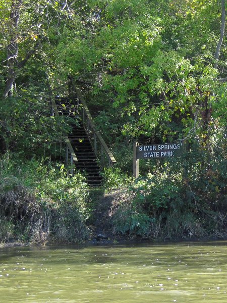FoxRiverYorkvilleMillington100211-3513.jpg - Sliver Springs State Park