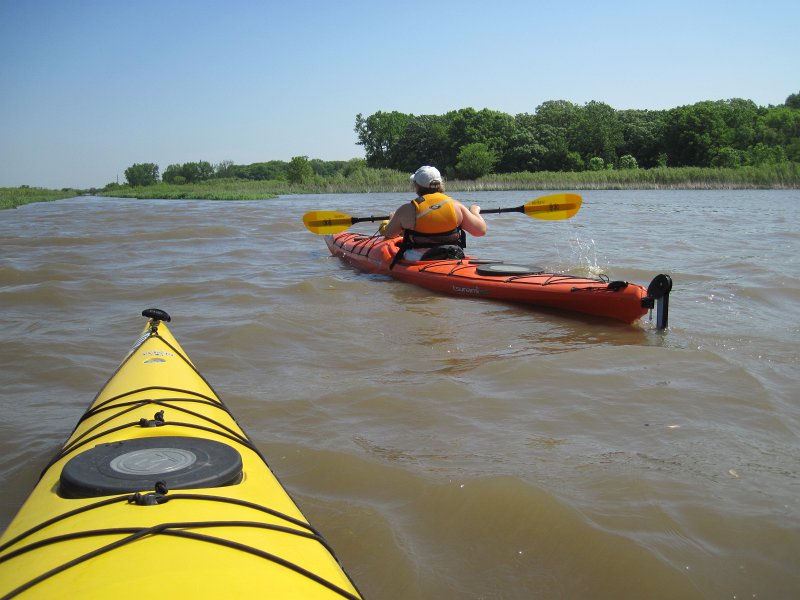 LakeBusseKayak053011-2558.jpg - Heading North on Salt Creek, Golf Rd bridge distant background