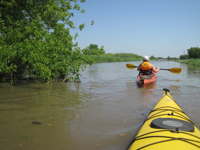 LakeBusseKayak053011-2560.jpg - Heading North on Salt Creek, Golf Rd bridge distant background