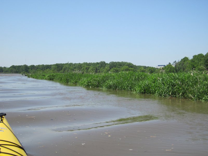 LakeBusseKayak053011-2574.jpg - Heading North on Salt Creek.  Windy, note waves