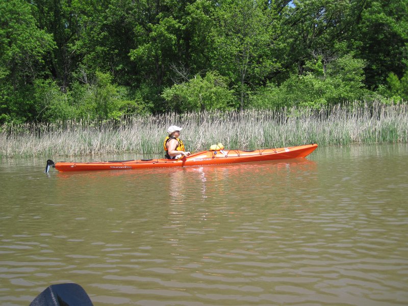 LakeBusseKayak053011-2579.jpg - Kayak Busse Forest Preserve