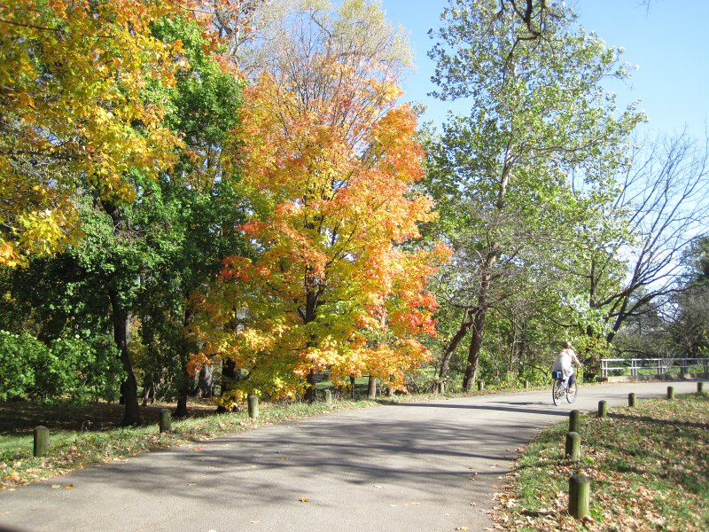 MortonArboretum102311-3551.jpg - Bike Morton Arboretum