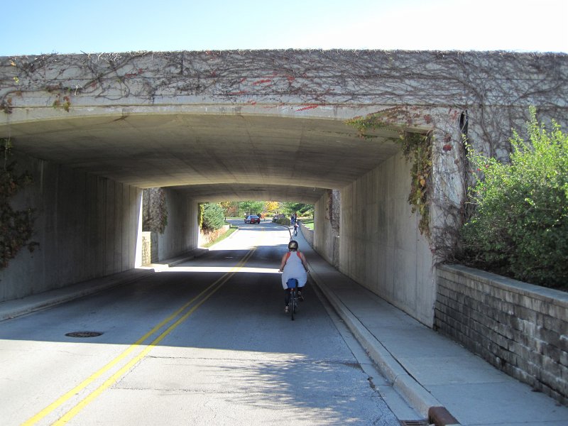 MortonArboretum102311-3552.jpg - Bike Morton Arboretum