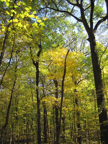 MortonArboretum102311-3589.jpg - Bike Morton Arboretum