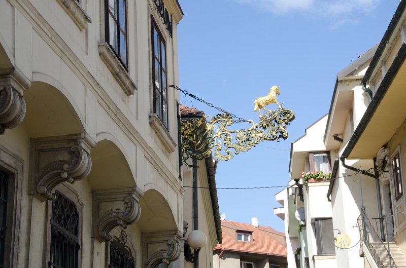 Bratislava101411-6522.jpg - Golden Horse