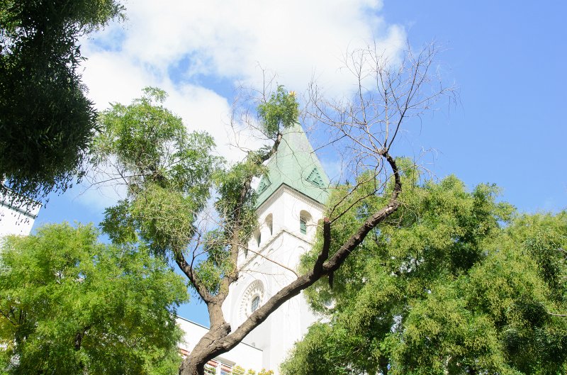 Bratislava101411-6576.jpg - Katedrála svätého Martina / St Martin's Cathedral
