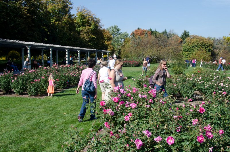 Cantigny100811-6208.jpg - Cantigny Rose Garden