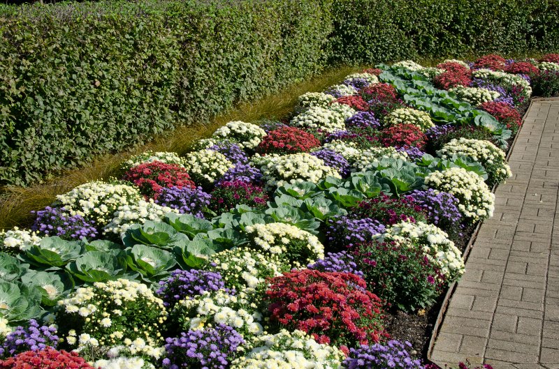 Cantigny100811-6230.jpg - Cantigny Formal Gardens