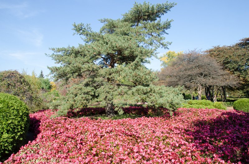 Cantigny100811-6238.jpg - Cantigny Formal Gardens