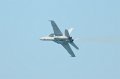 ChicagoAirShow082011-5369
