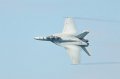 ChicagoAirShow082011-5383