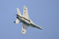 ChicagoAirShow082011-5388