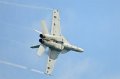 ChicagoAirShow082011-5423