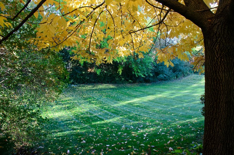 FallColorsOct11-6158.jpg - Fall Colors, Marls Court