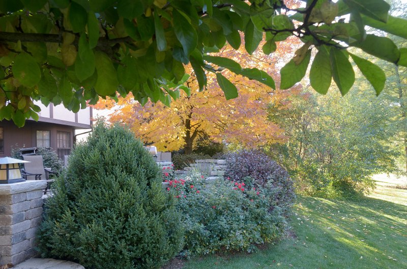 FallColorsOct11-6165.jpg - Fall Colors, Marls Court