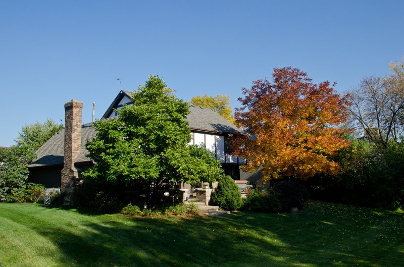 FallColorsOct11-6250.jpg - Backyard