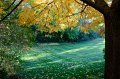 FallColorsOct11-6158