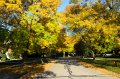 FallColorsOct11-6150