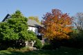 FallColorsOct11-6251