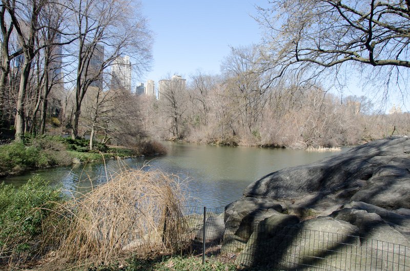 Manhattan032611-1789-2.jpg - Walk through Central Park, view near Grand Army Plaza