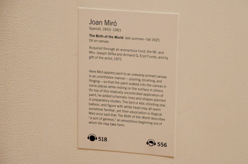 Manhattan032611-2028.jpg - "The Birth of the World," oil on canvas painting by Joan Miró, 1925