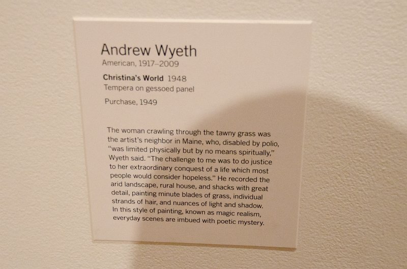 Manhattan032611-2034.jpg - "Christina's World," tempera on gessoed panel by Andrew Wyeth, 1948.