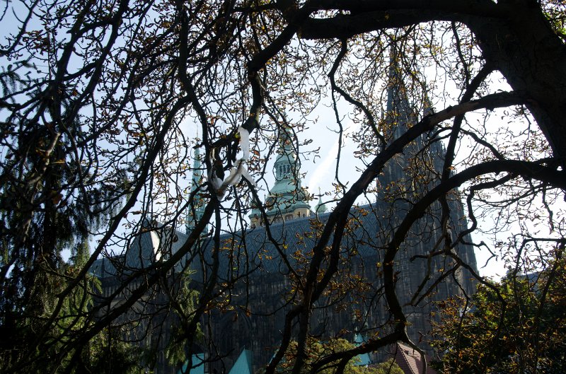 Prague101511-6877.jpg - Just got off the 22 tram.  Our first view of the Prague Castle, Pražský hrad