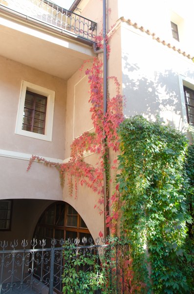 Prague101511-7050.jpg - Palácové zahrady pod Pražským Hradem / Palace gardens under Prague Castle