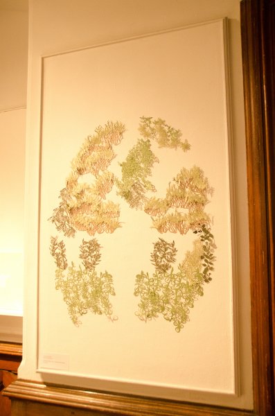 DSC_2781.jpg - Liz's Senior Show