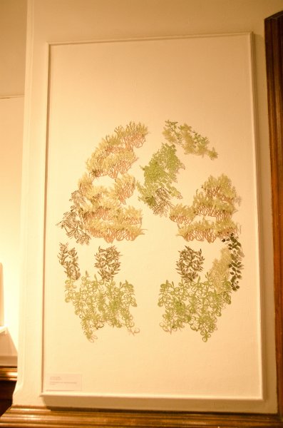 DSC_2784.jpg - Liz's Senior Show