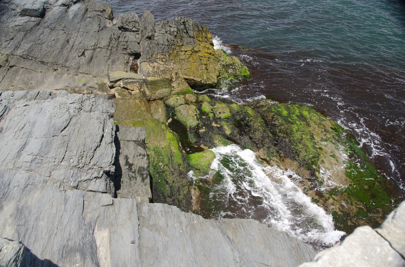 DSC_2828.jpg - View of Cliff Walk at 40 Steps