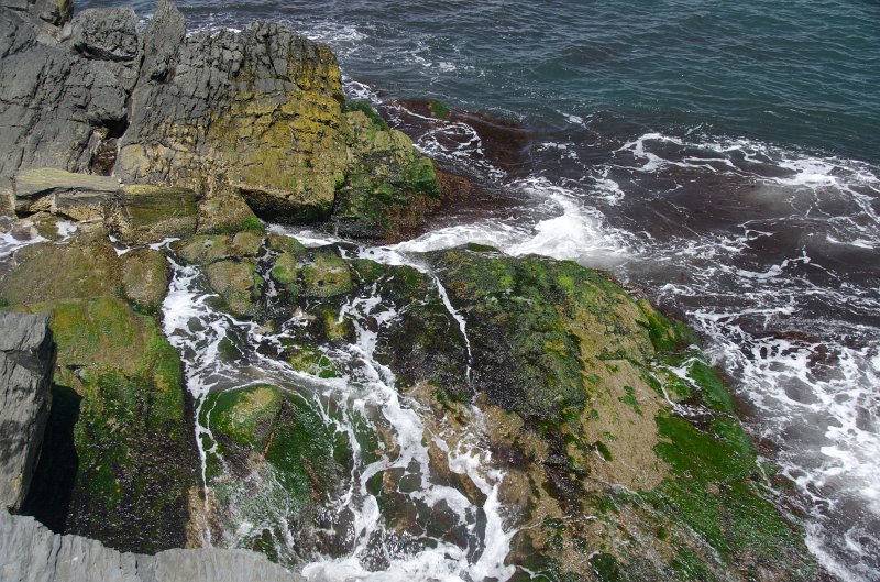 DSC_2830.jpg - View of Cliff Walk at 40 Steps