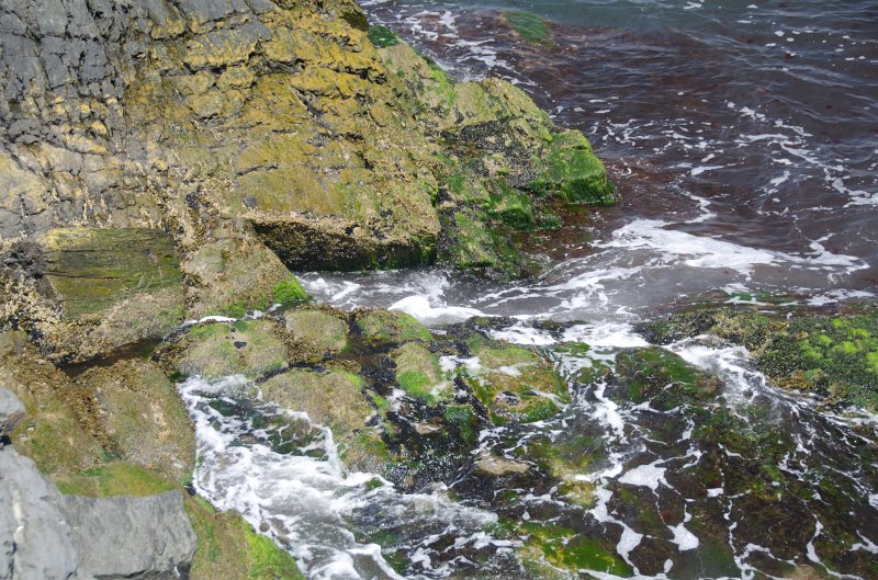 DSC_2834.jpg - View of Cliff Walk at 40 Steps