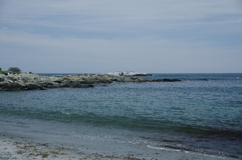 DSC_2861.jpg - King's Beach, Ocean Drive, Newport