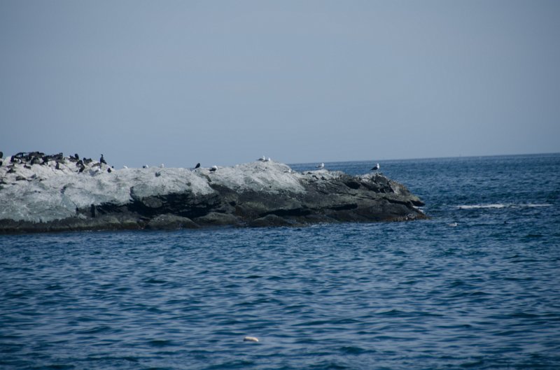 DSC_2877.jpg - King's Beach, Ocean Drive, Newport