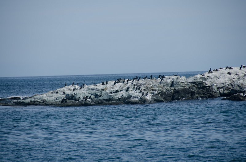 DSC_2878.jpg - King's Beach, Ocean Drive, Newport