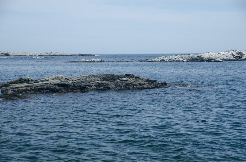 DSC_2879.jpg - King's Beach, Ocean Drive, Newport