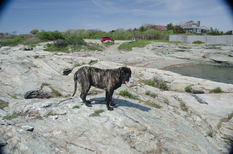 DSC_2897.jpg - King's Beach, Ocean Drive, Newport