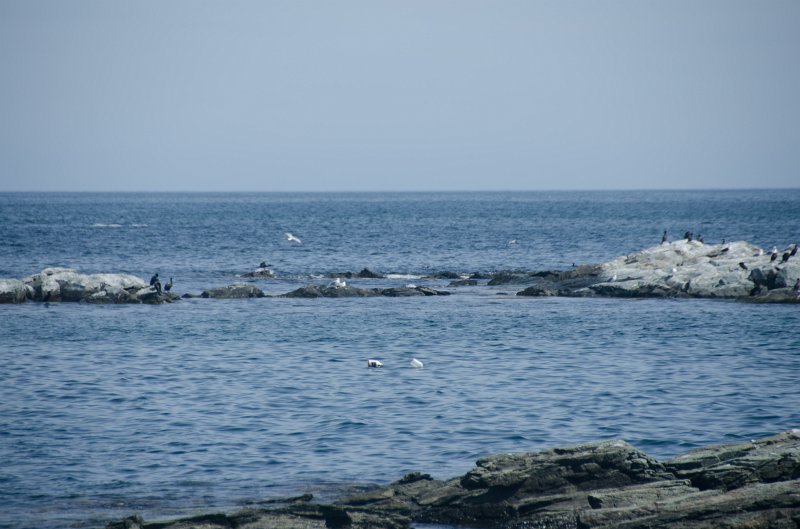 DSC_2898.jpg - King's Beach, Ocean Drive, Newport